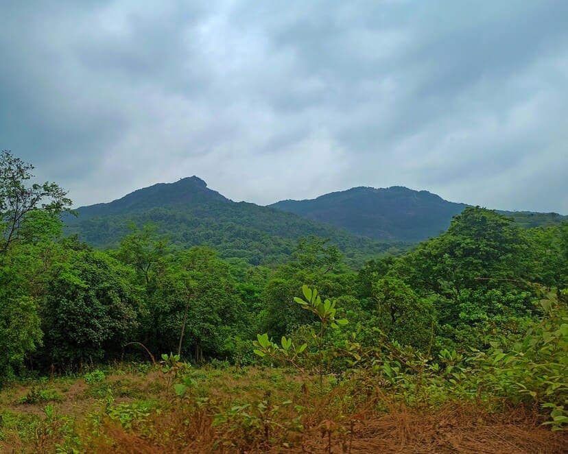 Mountain day trip